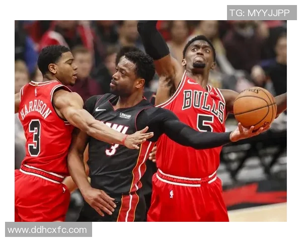 2011年NBA总决赛公牛对热火精彩录像回顾与分析