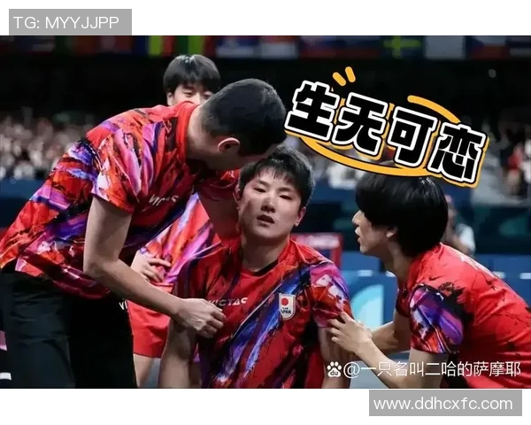 张本智和与波尔精彩对决全程录像回放分析与精彩瞬间集锦